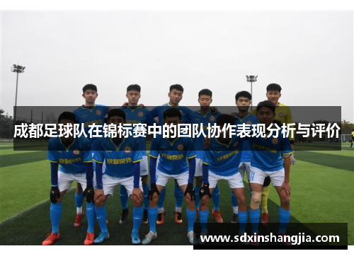 成都足球队在锦标赛中的团队协作表现分析与评价