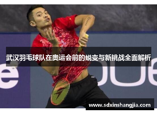武汉羽毛球队在奥运会前的蜕变与新挑战全面解析