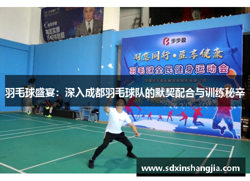 羽毛球盛宴：深入成都羽毛球队的默契配合与训练秘辛