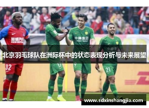 北京羽毛球队在洲际杯中的状态表现分析与未来展望
