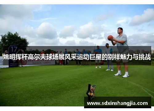 姚明挥杆高尔夫球场展风采运动巨星的别样魅力与挑战