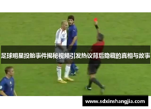 足球明星投胎事件揭秘视频引发热议背后隐藏的真相与故事