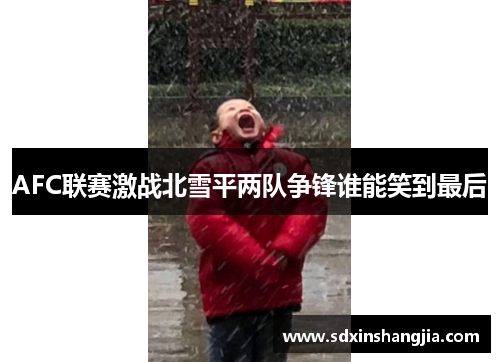 AFC联赛激战北雪平两队争锋谁能笑到最后