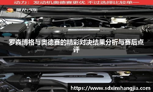 谈球吧罗森博格与奥德赛的精彩对决结果分析与赛后点评