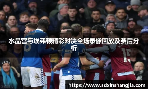 谈球吧水晶宫与埃弗顿精彩对决全场录像回放及赛后分析