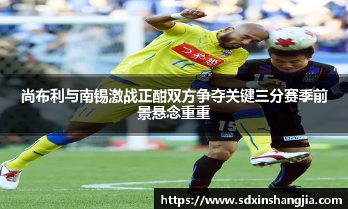 谈球吧尚布利与南锡激战正酣双方争夺关键三分赛季前景悬念重重